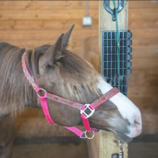 Bitless Bridles