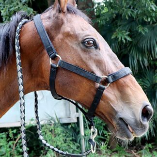 Equestrian Horse Rope Harness