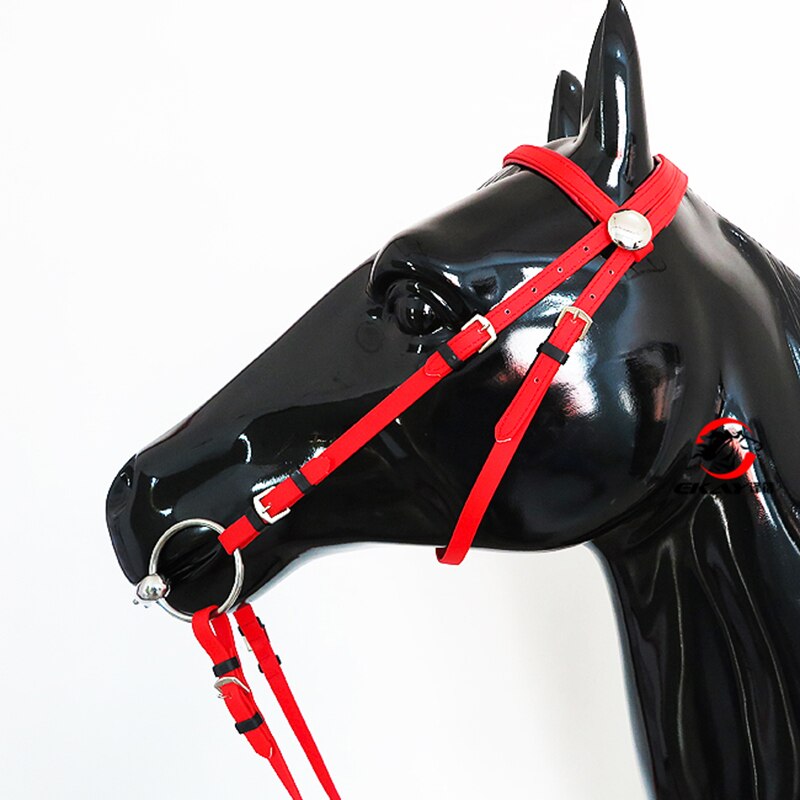 Equine Essentials: Understanding Bridles and Halters for Your Horse